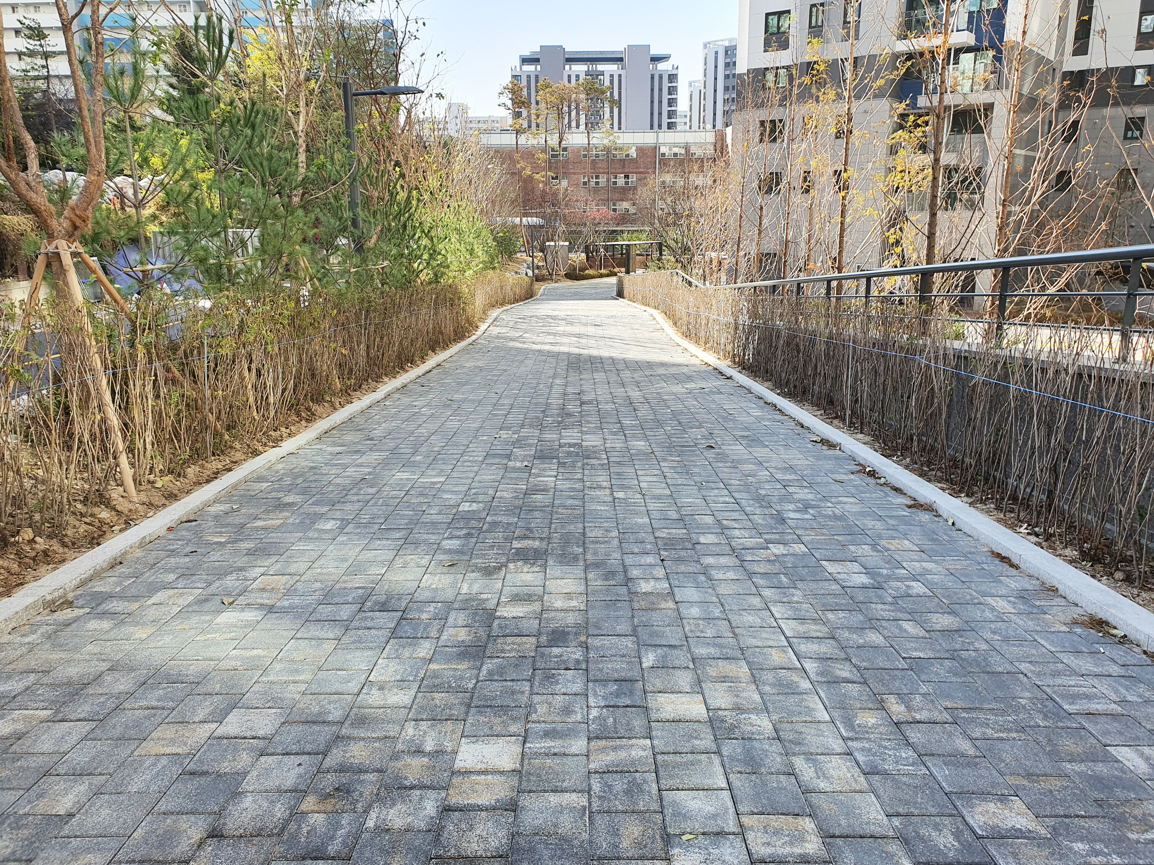 BAU Paver plus — 블렌디드 다색 시공 사례